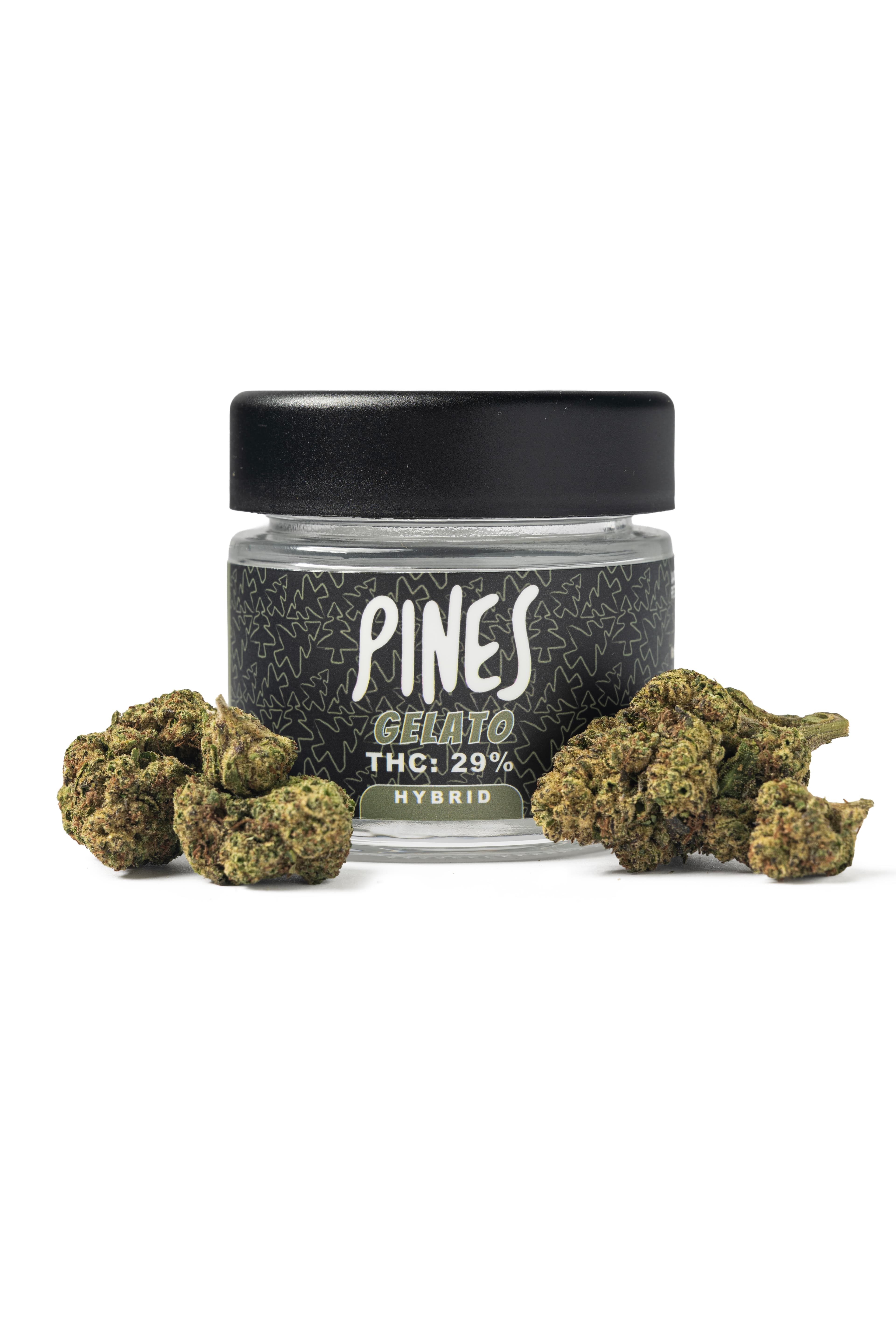 Pines | Gelato | 3.5g Flower (Hybrid)